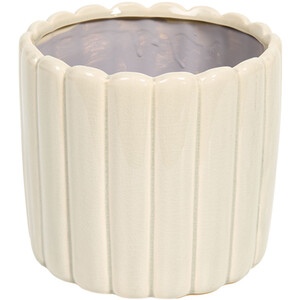  shot 12994159