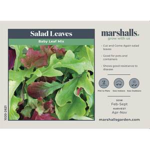 Marshalls Garden Baby Leaf Salad Mix Seeds - 1g Pack