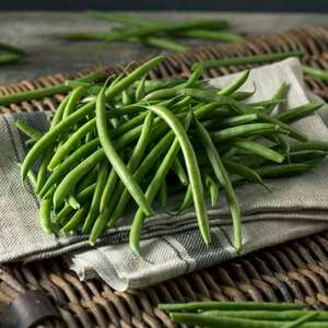 Monte Cristo Climbing French Bean Seeds - High Yield, Vigorous Climber, 50 Seeds