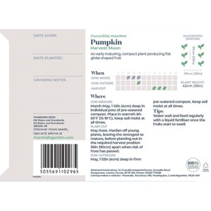 Marshalls Garden Harvest Moon Pumpkin Seeds - Early-maturing compact variety, pack of 8