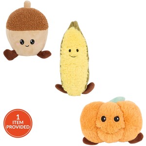 Pumpkin Pickers Dog Toy