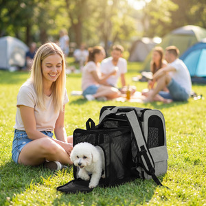 PawHut Dog Carrier Backpack Expandable for Small Puppy Cat for Travel