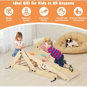 Foldable Climber Reversible Ramp