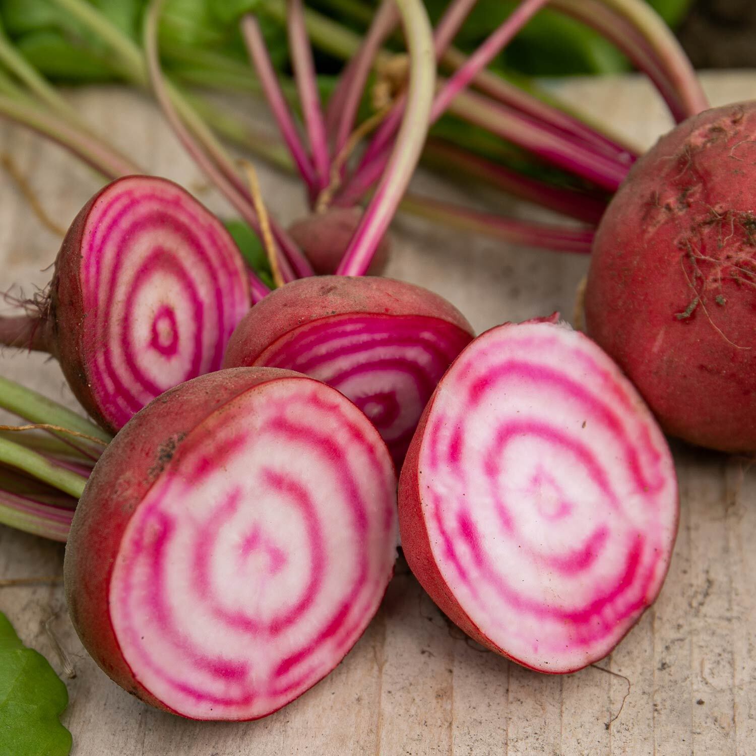 Unwins Beetroot Seeds 'Chioggia' - Green