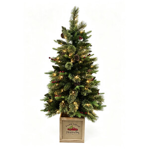 Sherwood Potted Tree