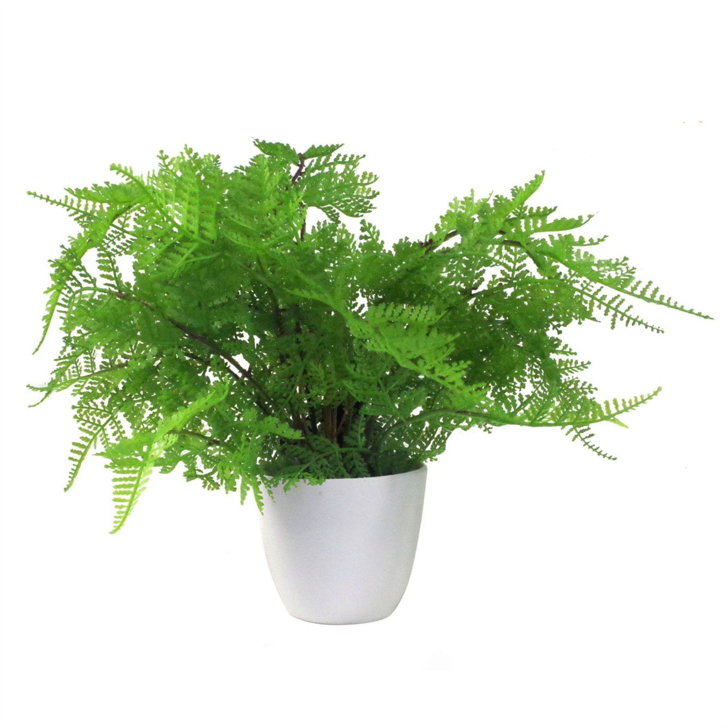 Leaf Design Realistic Artificial Botanical Fern Plant 30cm
