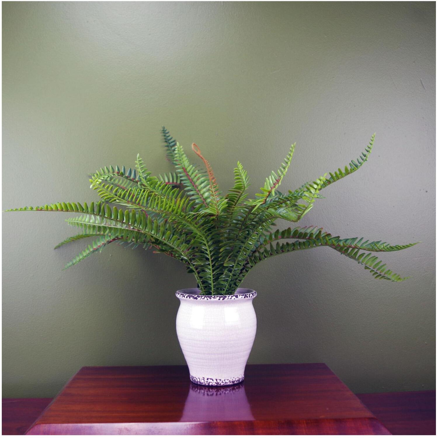 Artificial Bushy Fern 40cm Ceramic Planter Indoor Decor - Green