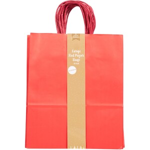 Pack of 10 Large Gifting Paper Bags