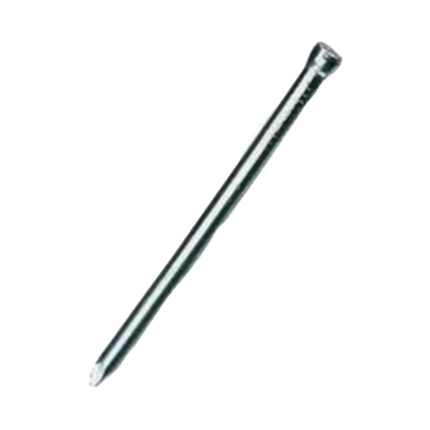 Securit Oval Nails (Pack Of 10) - Steel