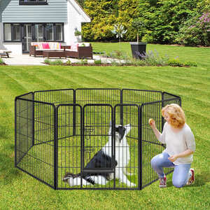  shot 20337239