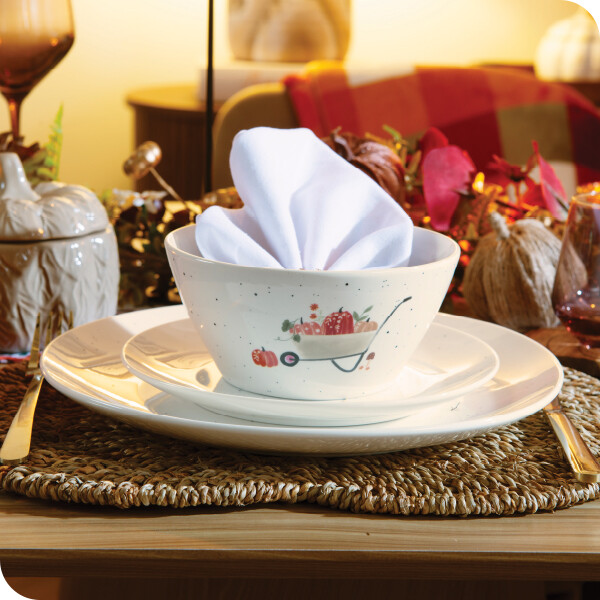 tableware dinnerware