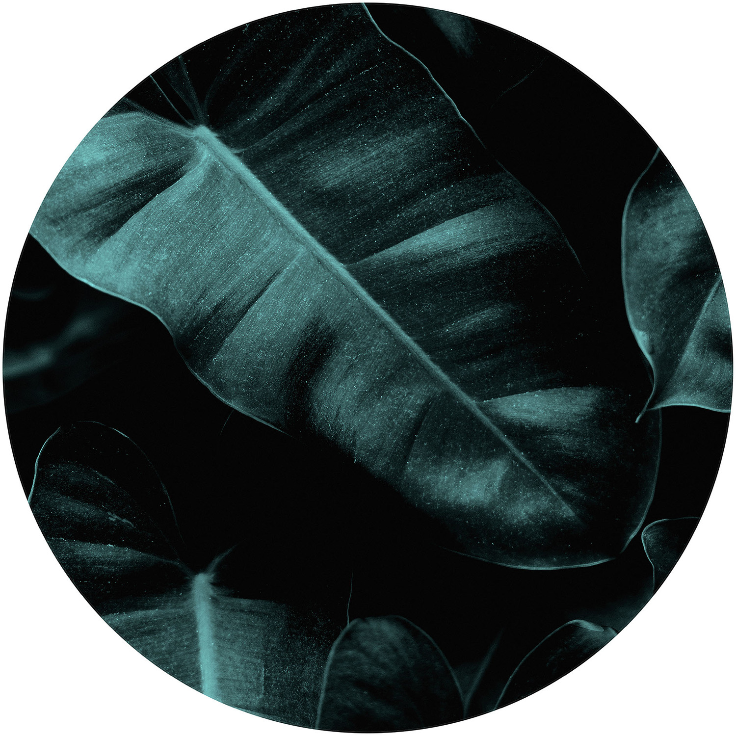 Jungle Wall Mural - Green