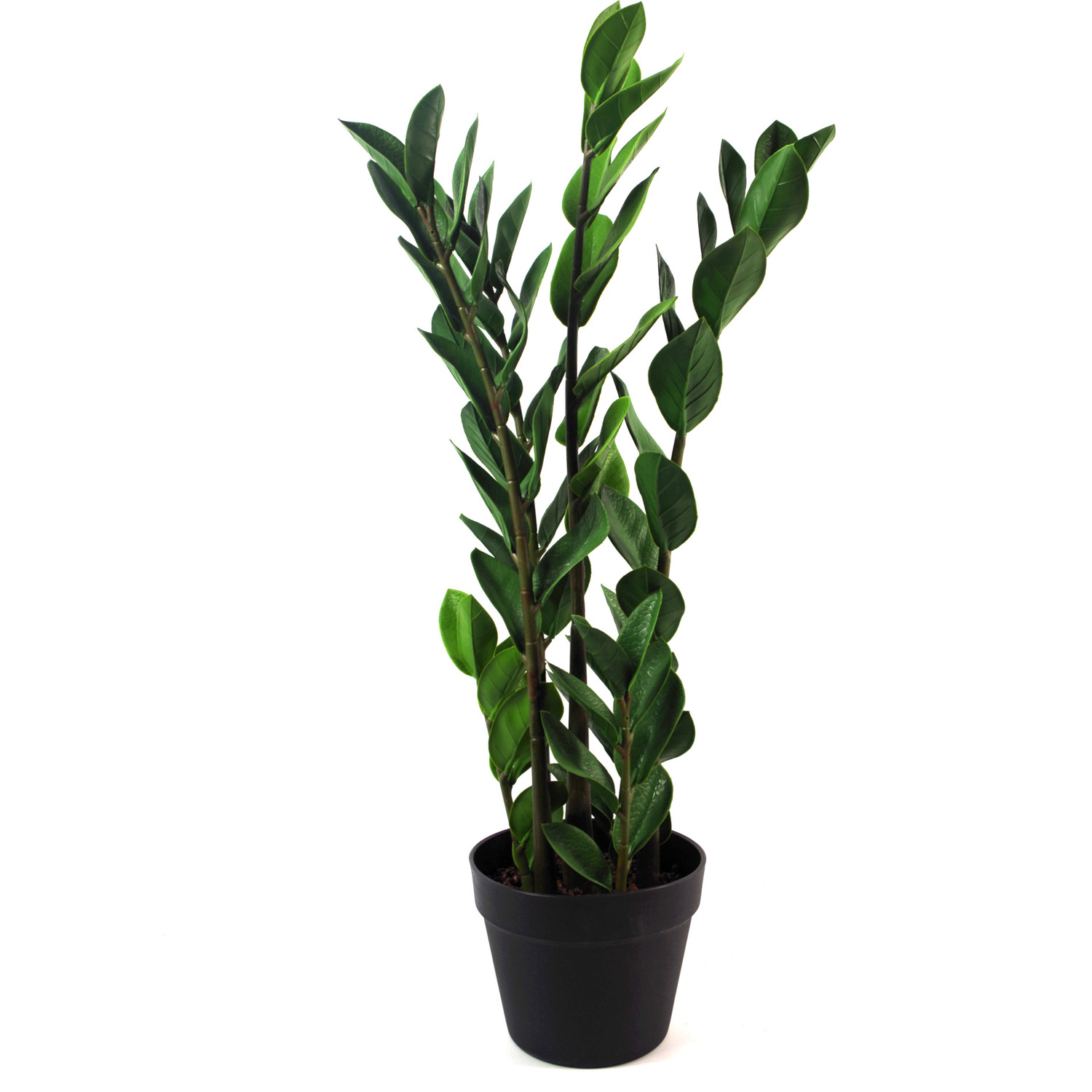 Leaf Zanzibar Gem Foliage Artificial Plant Pot 75cm - Green - Image 4