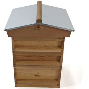  shot 5352436