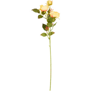 Alora Rose Stem