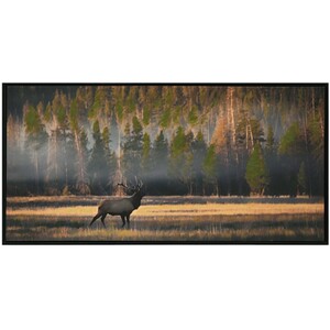 Riverland Moose Hand Painted Canvas