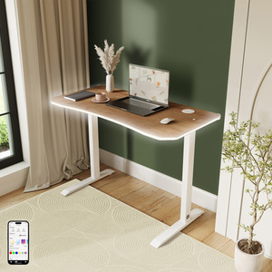 XR Living Oka Desk with Wireless Charging and RGB LED Lights