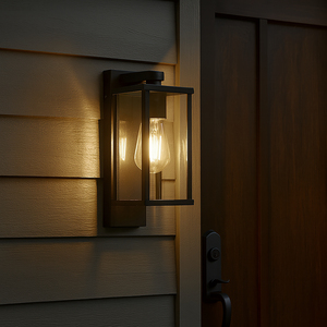 Black  Clear Glass Outdoor Wall Light