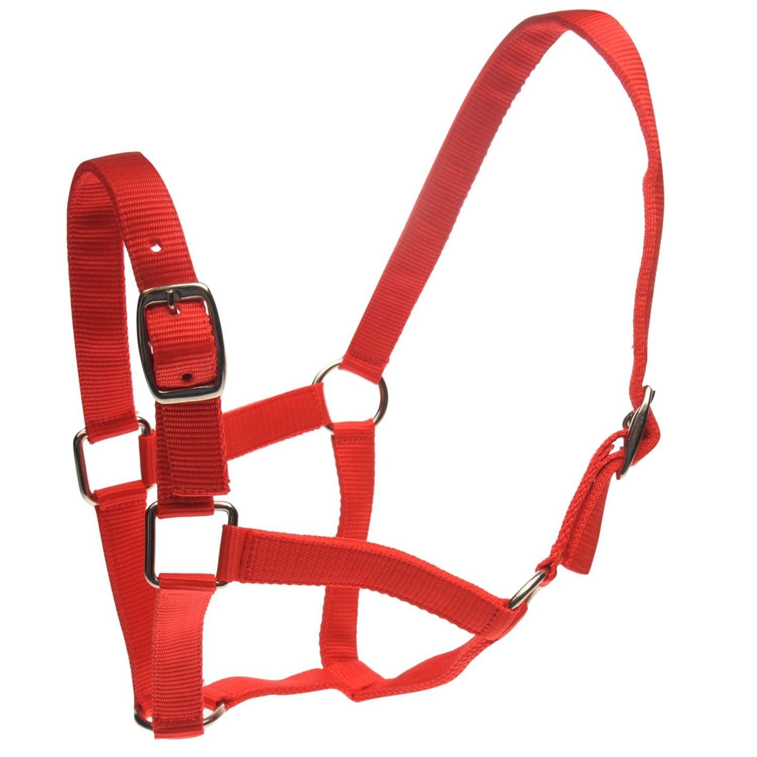 Roma Horse Headcollar And Leadrope - Red