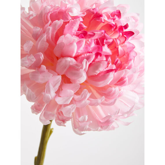 Fiori Pink Chrysanthemum Flower Stem