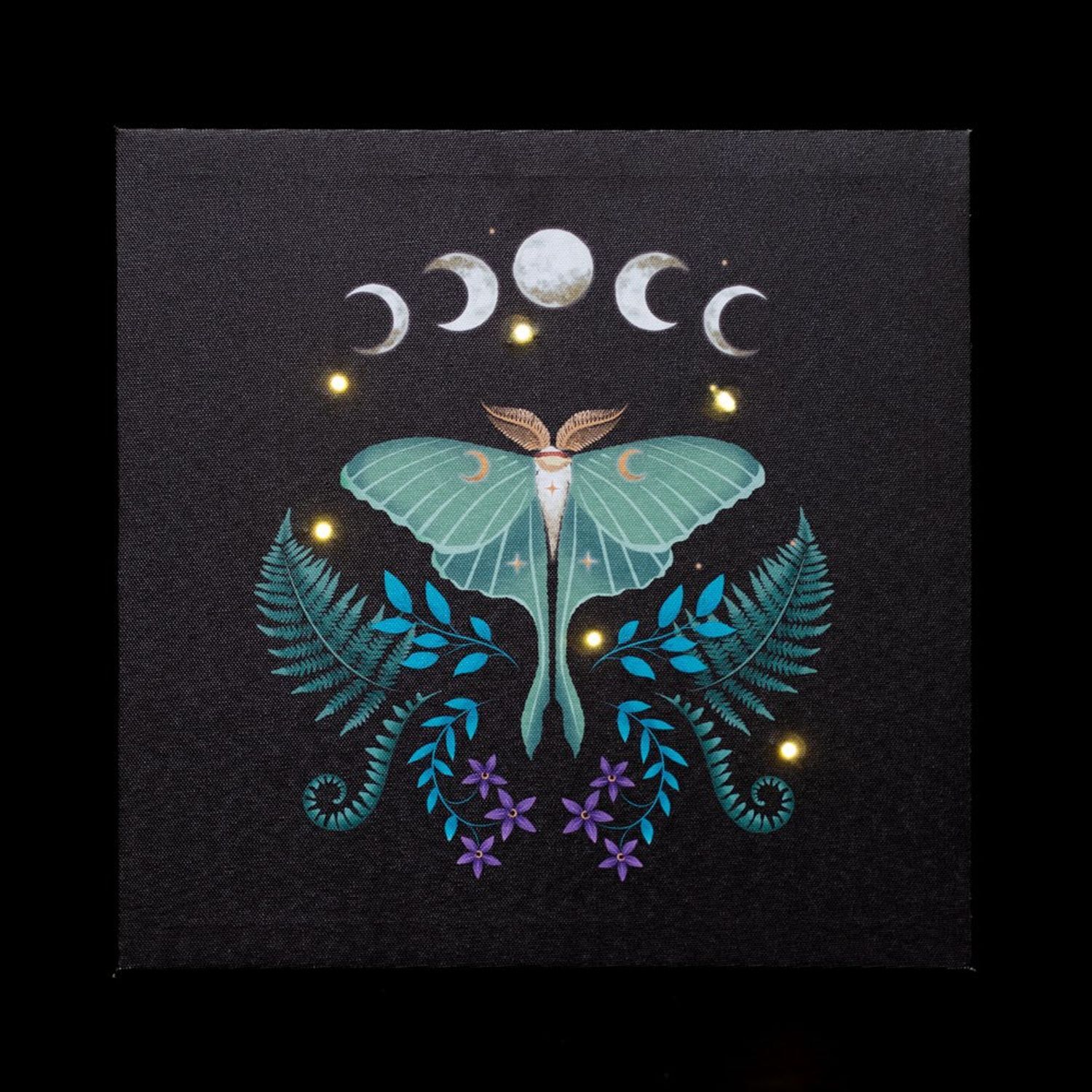 Something Different Canvas Luna Moth Light Up Canvas - Black/Blue/White - One Size