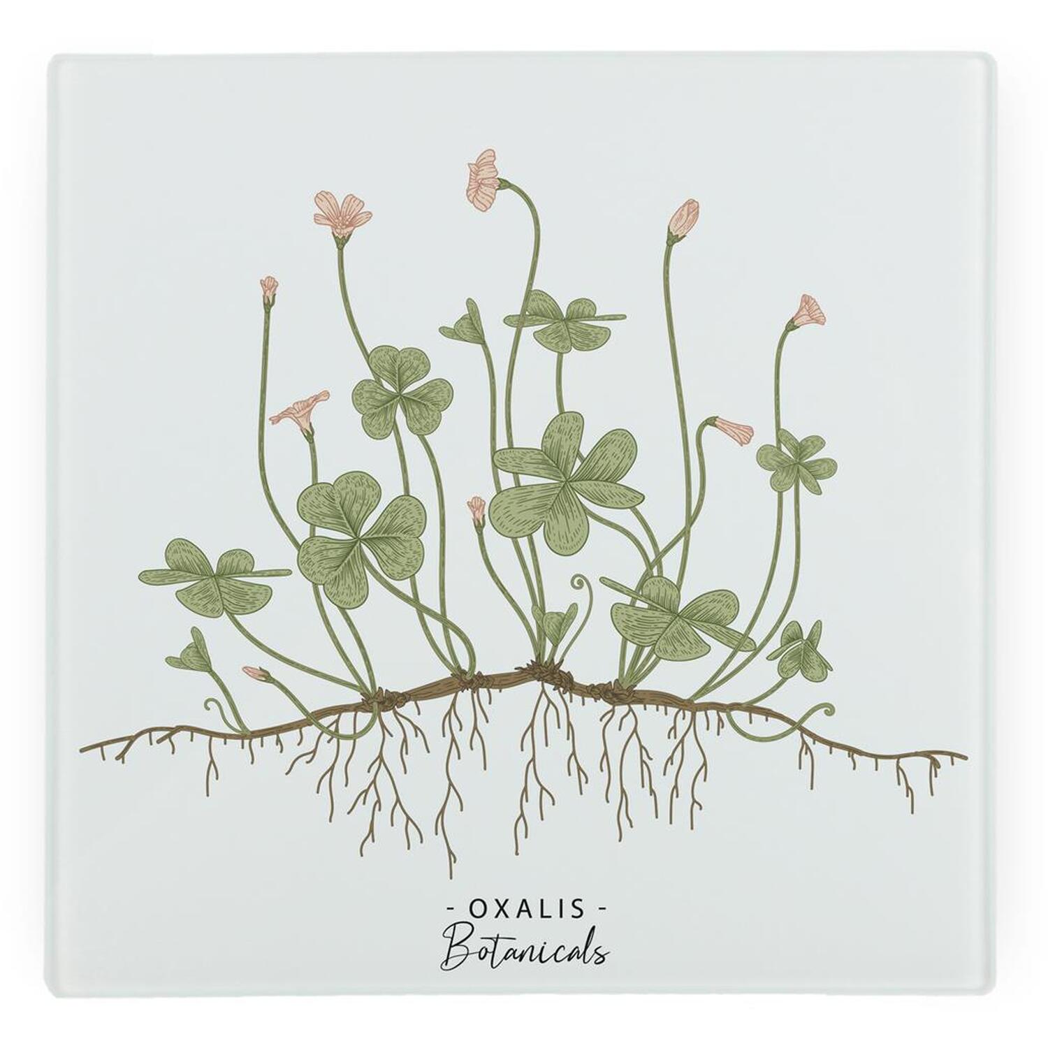 Image of Floral Botanicals Oxalis Glass Hot Pot&hellip;