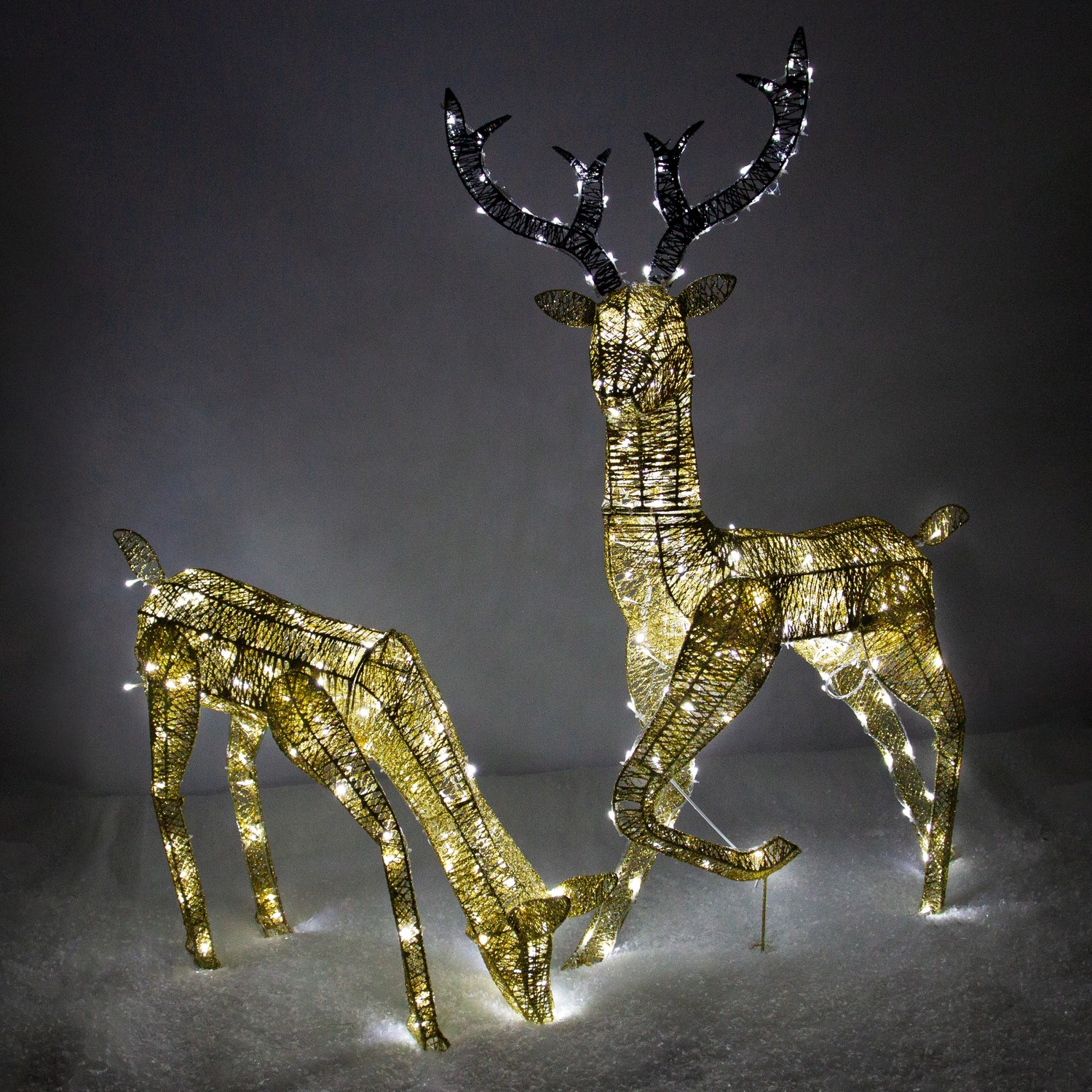 Image of Large Light Up Stag and Doe Reindeer Set - Gold - Gold