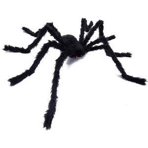  shot 1954269