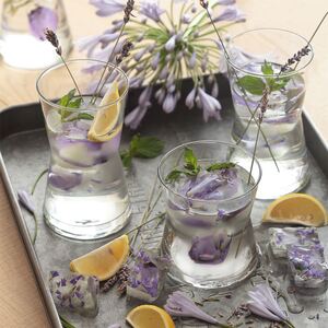350ml LAV Derin Highball Glasses Pack of 6