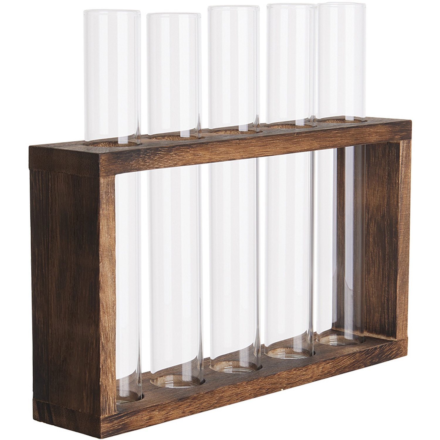 5pcs Glass Terrarium Planters - White
