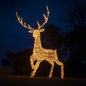 2.0m Christmas White Acrylic Grand Stag 350 White LEDs