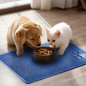  shot 6154598