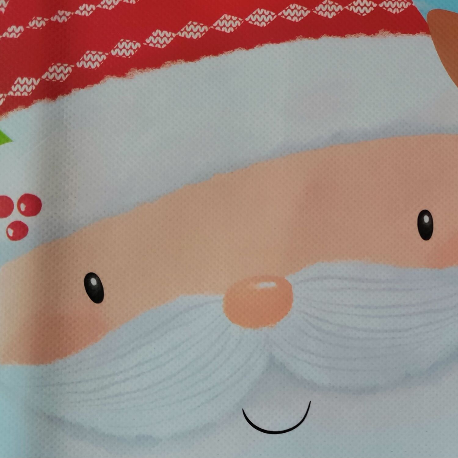 Xmas Bag
