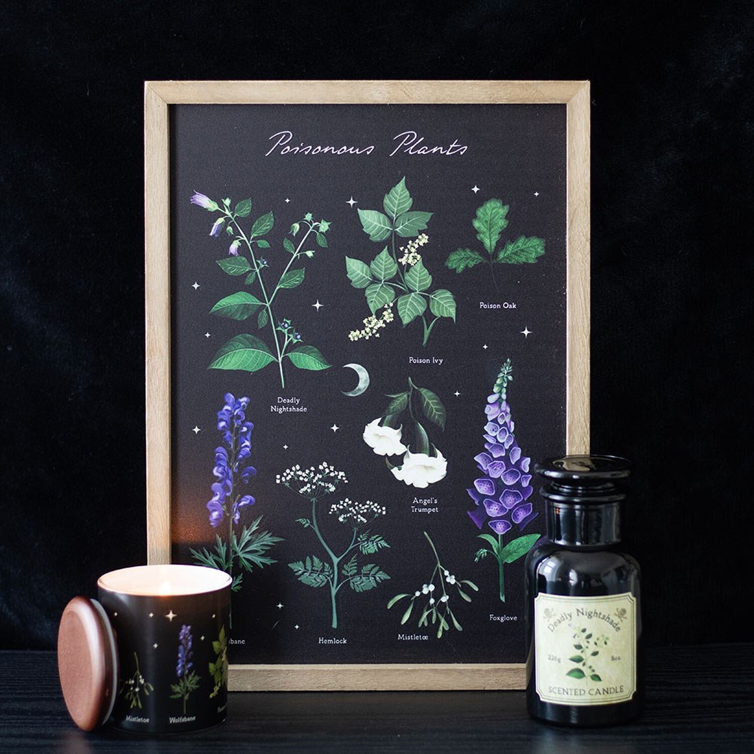 Poisonous Plants Framed Wall Art Print - Black