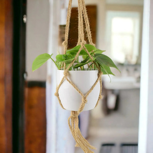 Philodendron Scandens - Heartleaf Houseplant in 12cm Indoor Pot