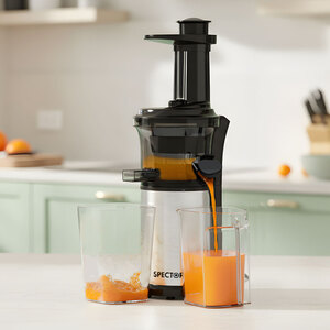 Standing Slow Juicer Cold Press Extractor