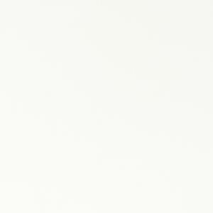  shot 12898709