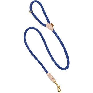 Digby & Fox Reflective Leather Training Dog Lead