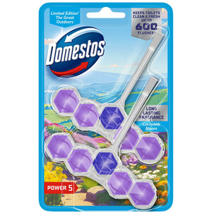 Pack of 2 Domestos Power 5 Rim Blocks