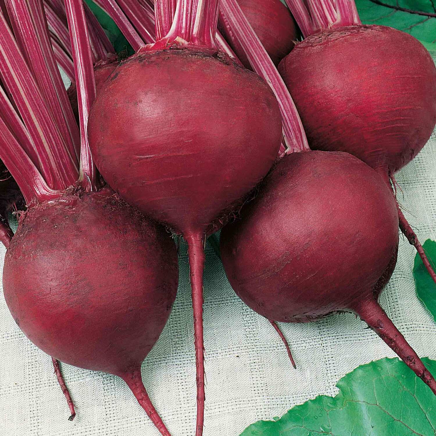 Unwins Beetroot Seeds Cardeal - Green
