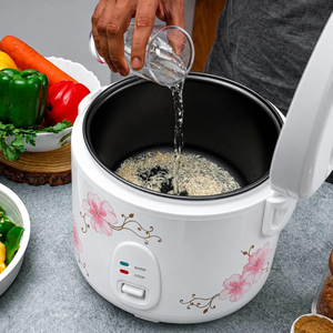 Compact Rice Cooker
