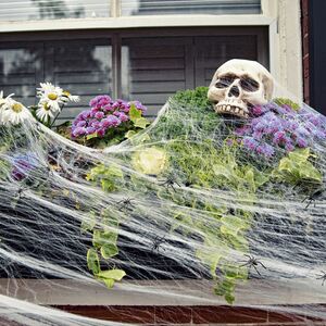 Kraft & Co Halloween Spider Web Decoration, 30pcs Fake Spiders