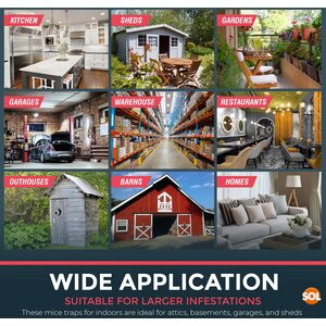  shot 21923409
