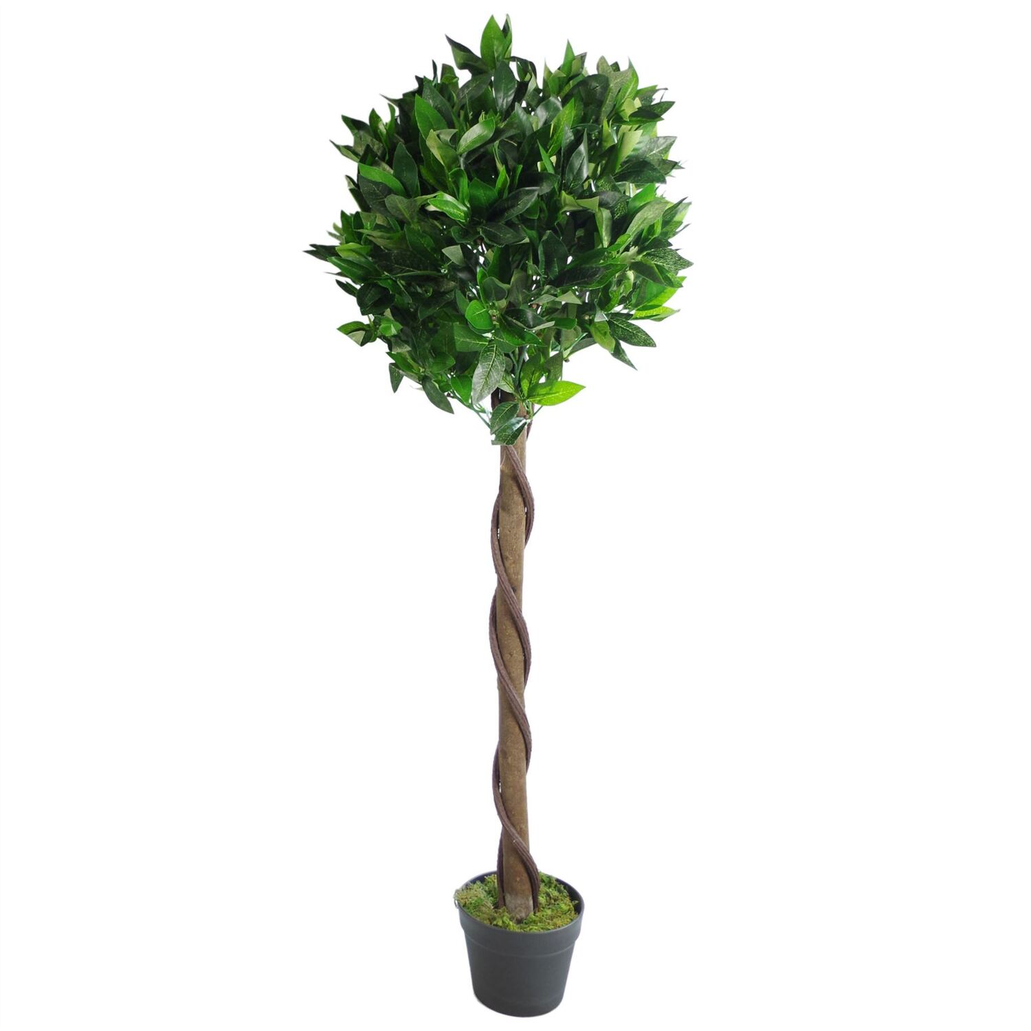 Leaf Bay Laurel Ball Artificial Tree - Twisted Natural Trunk - 120cm - Green - Image 6