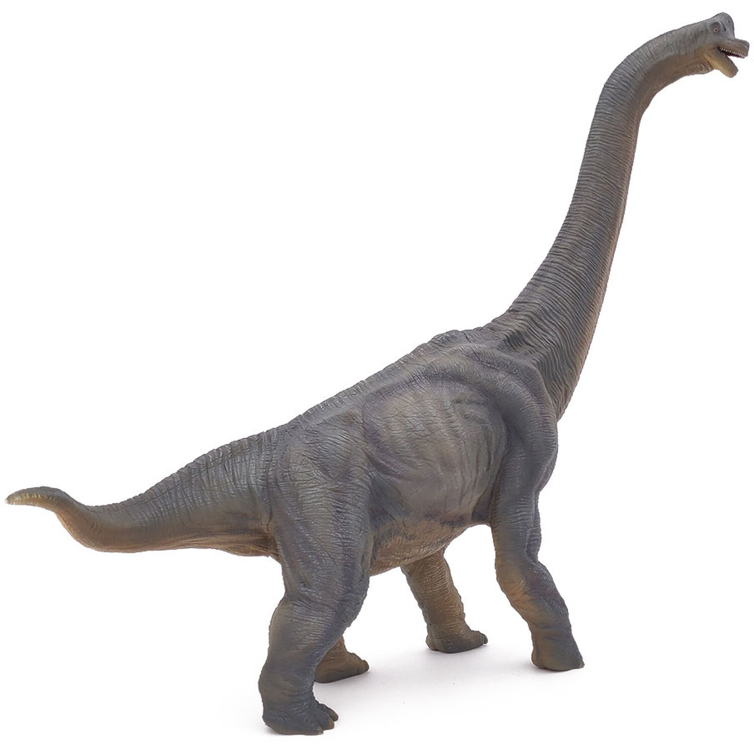 PAPO Dinosaurs Brachiosaurus Toy Figure - Black