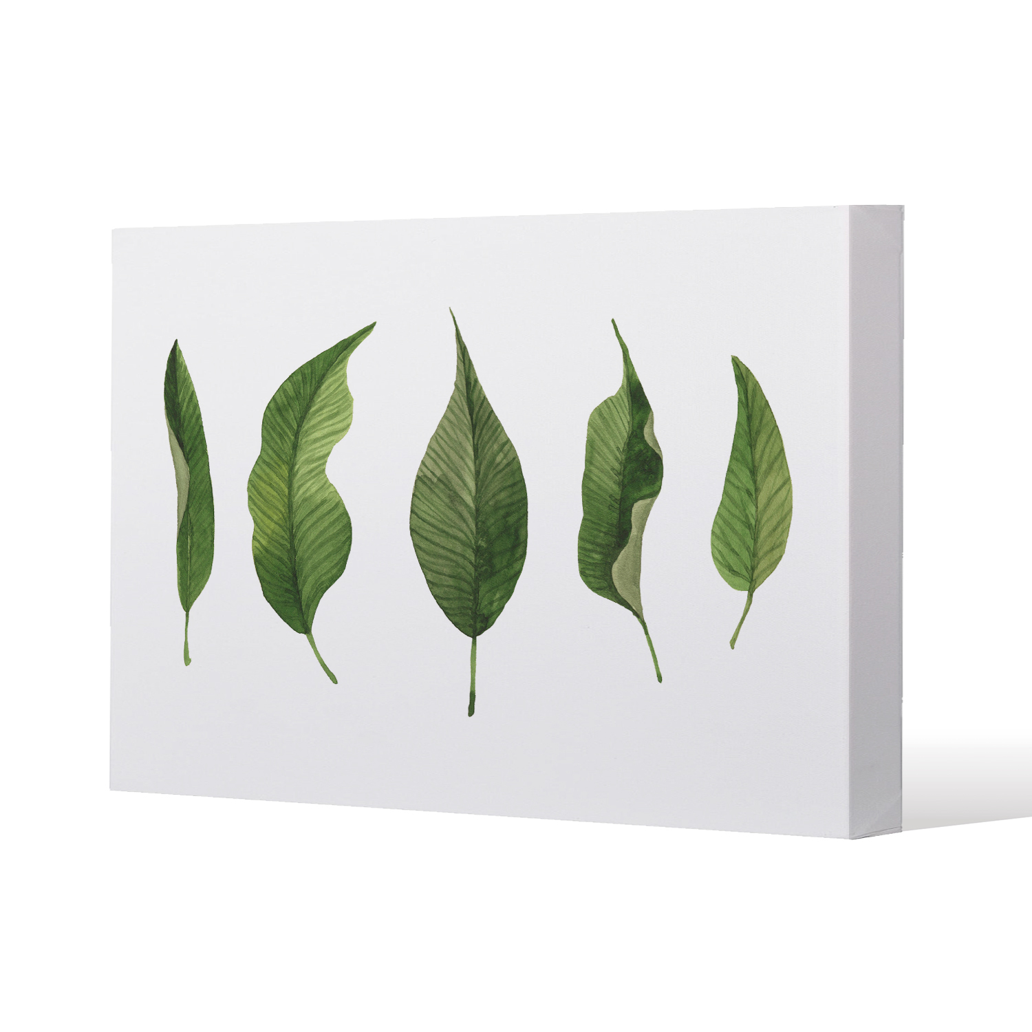Selection Of leaves Canvas Print - Green / 51cm / 77cm
