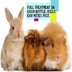 Mite Treatment for Guinea Pigs - Guinea Pig Winter Parasite Control