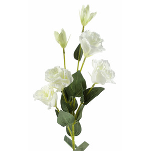 Artificial White Wild Rose Stem - 6 Flowers