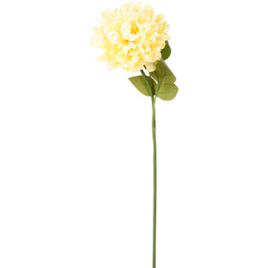 Assorted Pom Stem