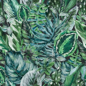 Jungle Fever Wallpaper in Teal and Green